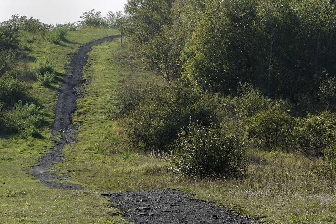 photo de l'entrée