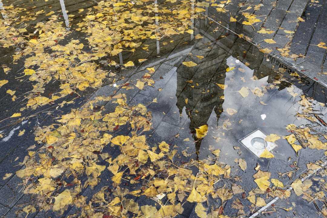 photo du reflet du bâtiment dans une flaque d'eau
